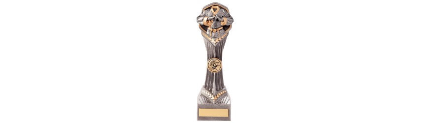 FALCON MARTIAL ARTS TROPHY - 4 SIZES - 14CM - 24CM FALCON MARTIAL ARTS TROPHY - 4 SIZES - 14CM - 24CM